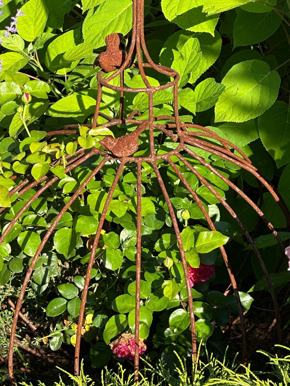Фото 6